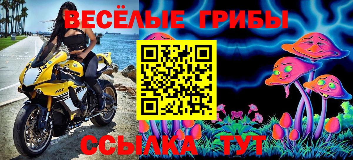 Россошь  Галлюциногенные грибы Psilocybe  Вход с VPN 